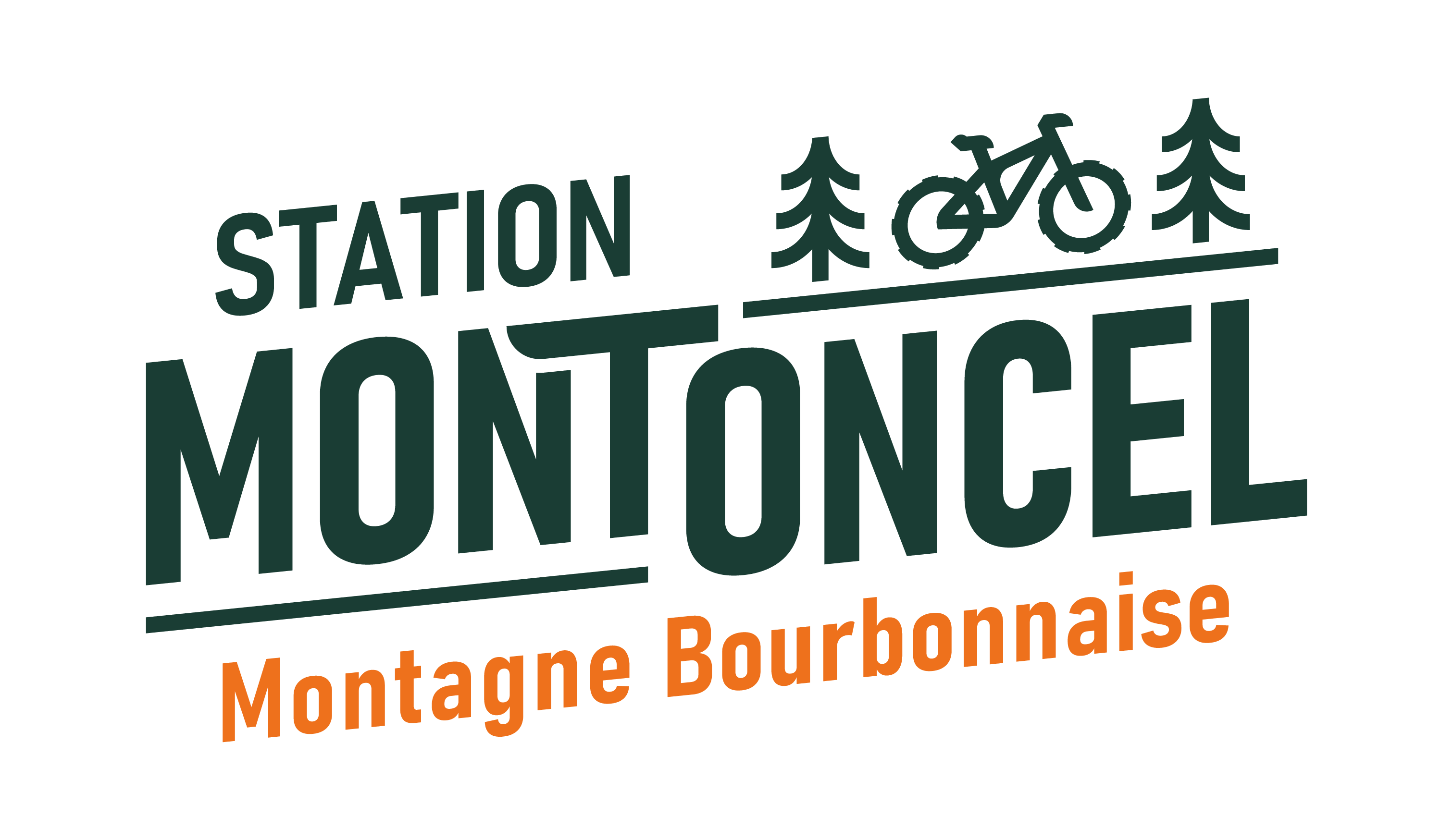 logo placeholder